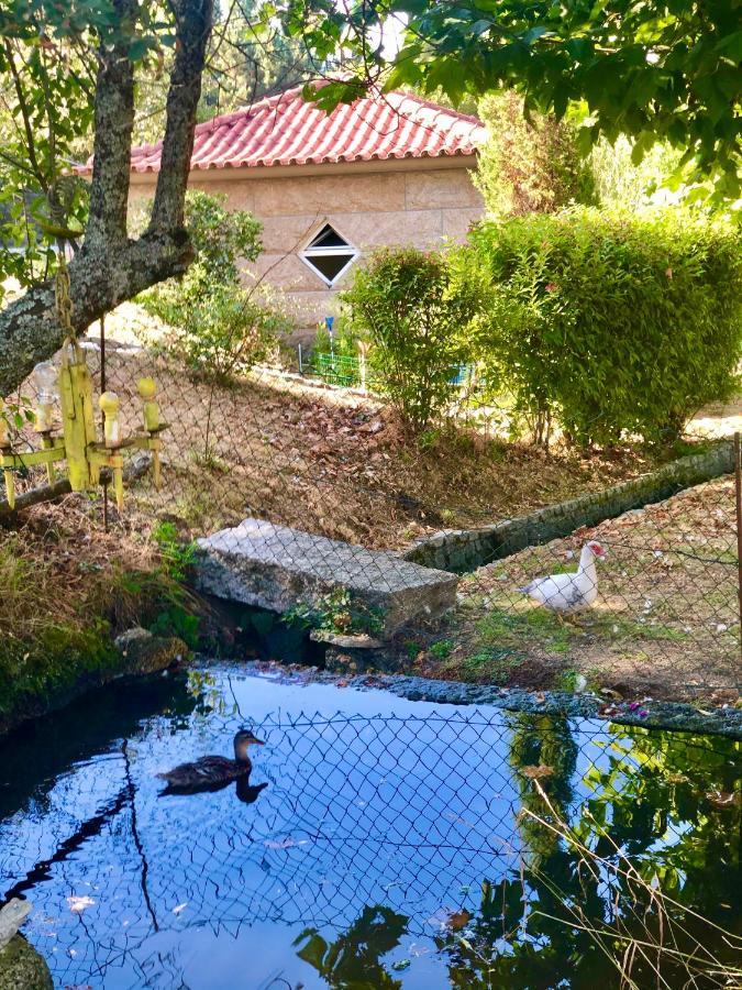 Casa Da Quinta Da Prelada Simao Villa Celorico De Basto Buitenkant foto