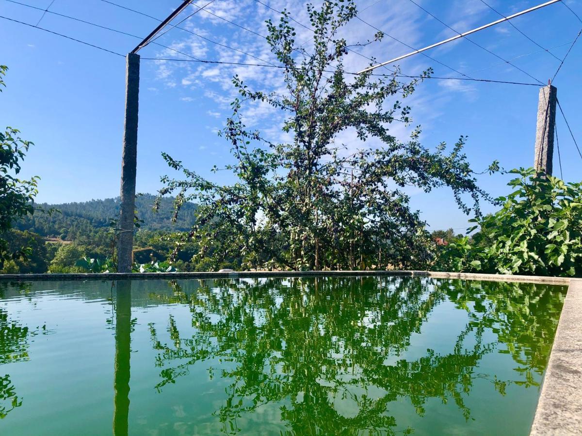 Casa Da Quinta Da Prelada Simao Villa Celorico De Basto Buitenkant foto